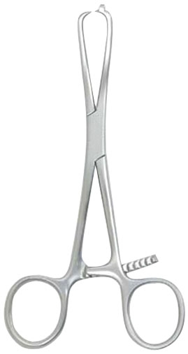 Bone Holding Forcep 6.75