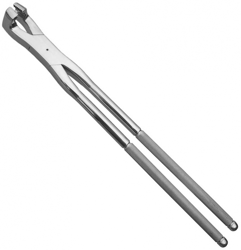 19 Inch Molar Forceps