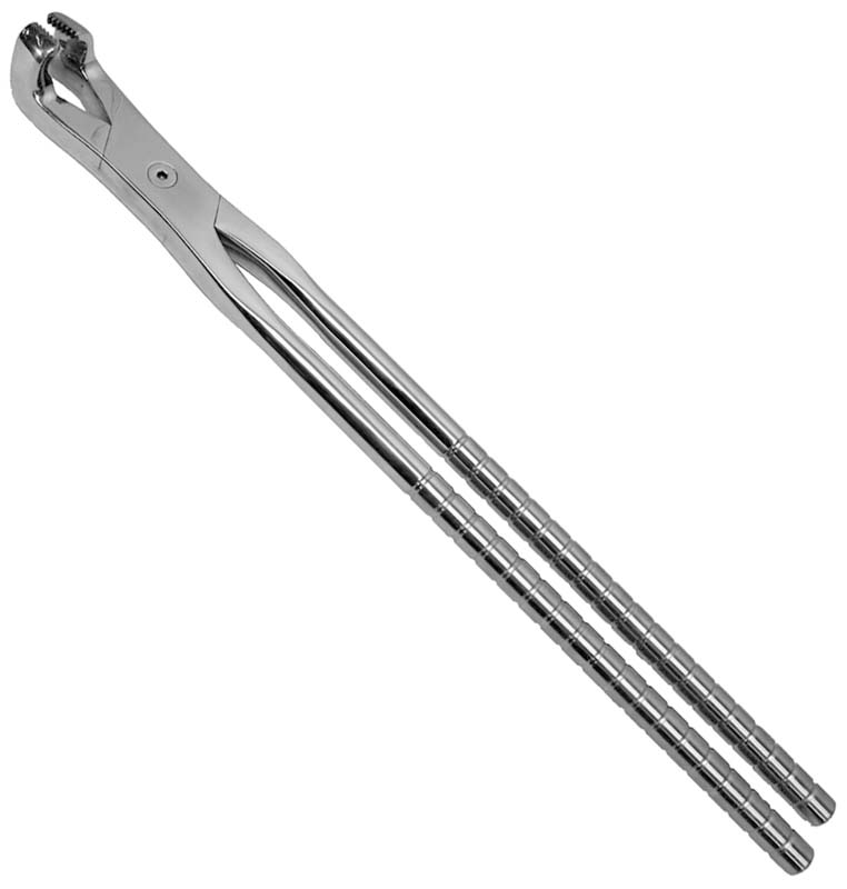 19 Inch Premium Molar Forceps