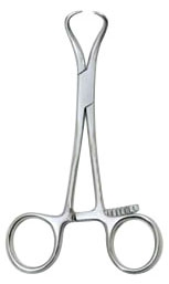 Stagbeetle Forceps 4.75