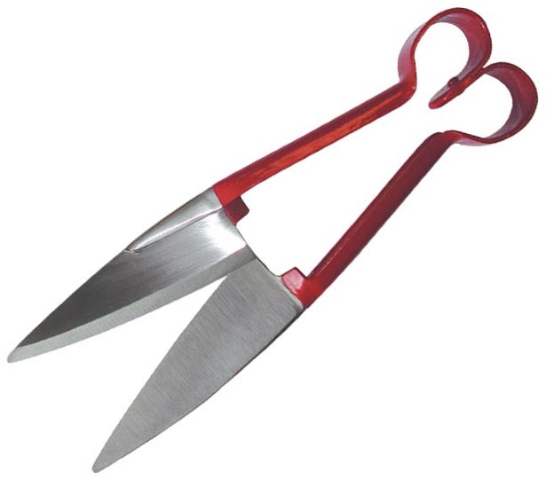 Sheep Shears - 5