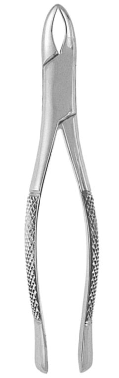 Extracting Forceps #62