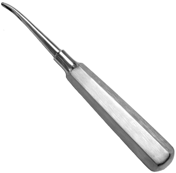 Incisor Fragment Elevator - Curved Head