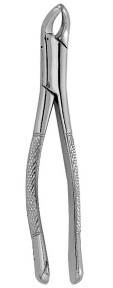 Extracting Forceps #151 - Serrated