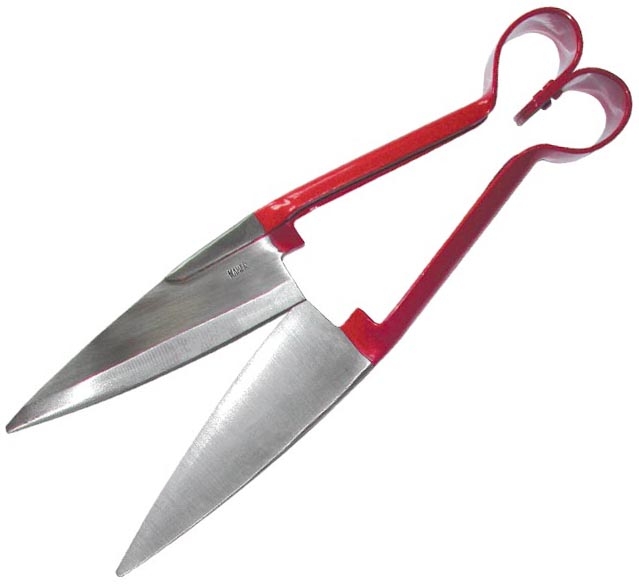 Sheep Shears - 6 1/2