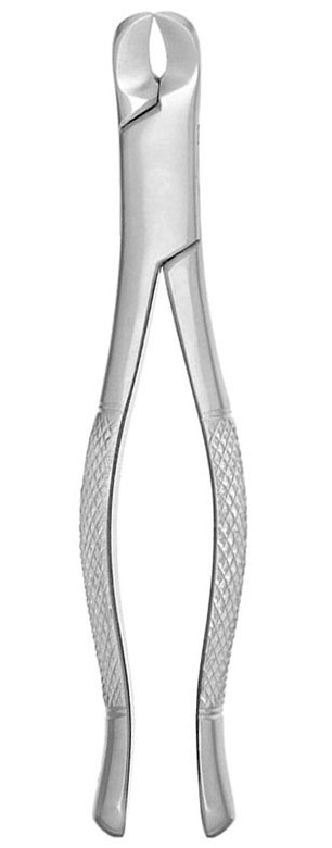 Extracting Forceps #6